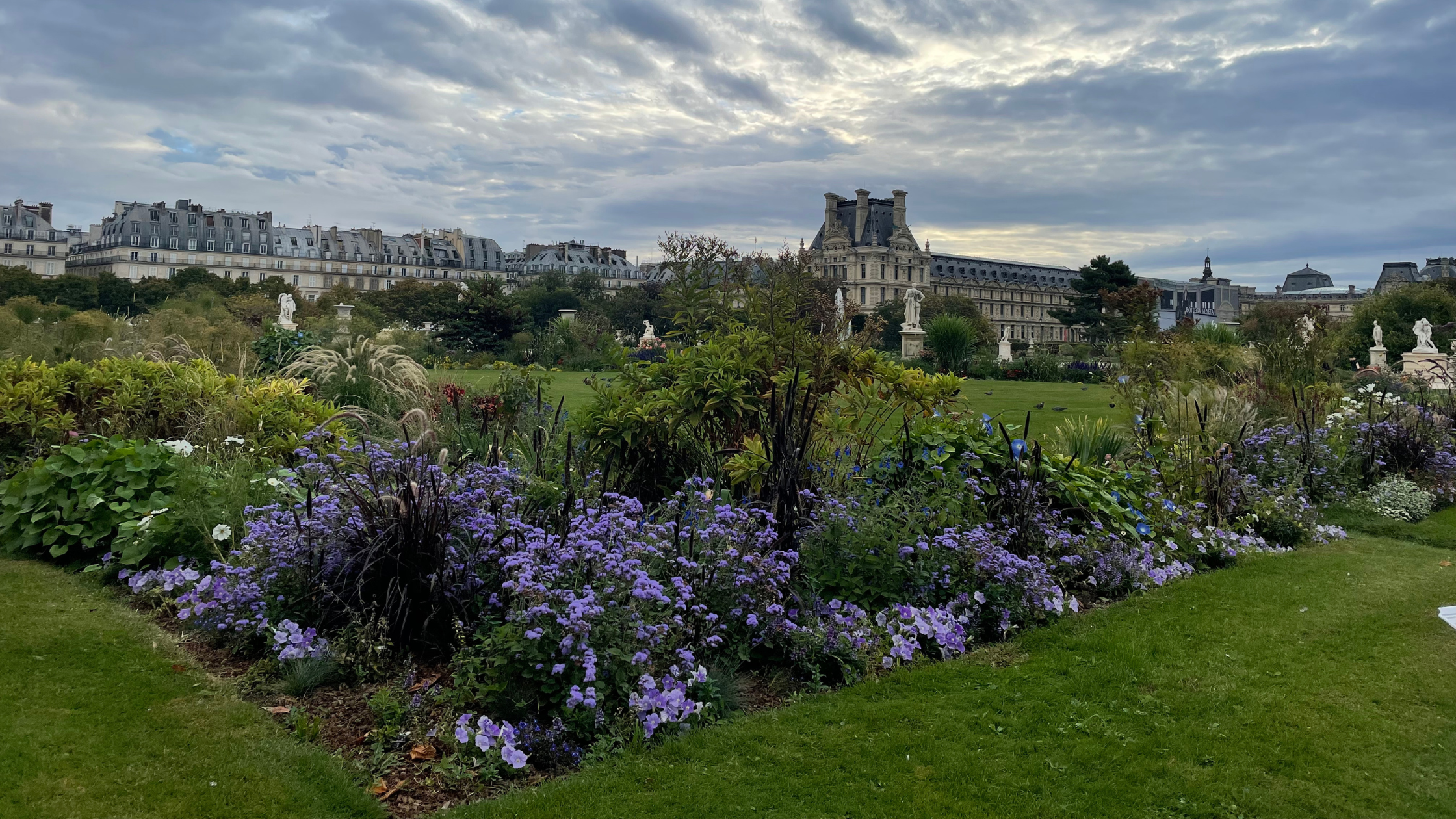 Travel, Rest, Croissants, & Business Growth Strategy